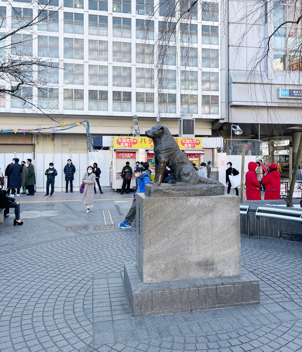 アクセスルート